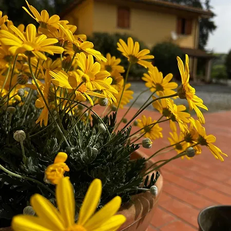Alloggio per agriturismo La Cerbana Palaia