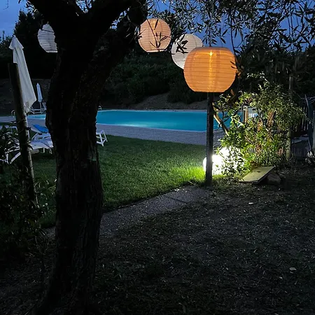 La Cerbana Palaia